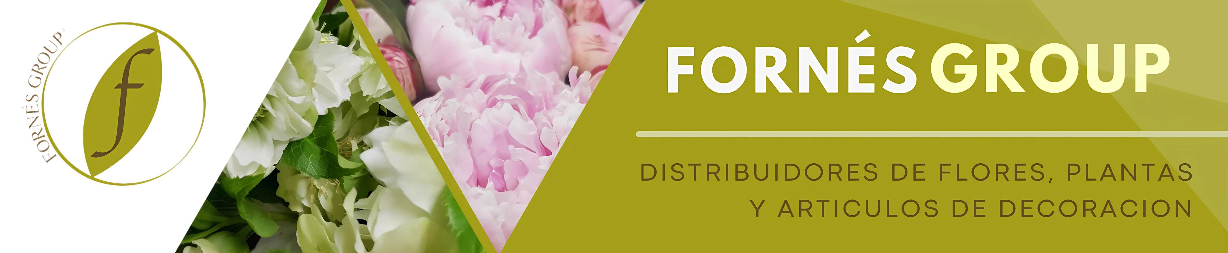 Banner de Fornés Group - Flor y Decoración